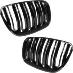 Dvigubos grotelės BMW X5 E53 LCI (04-06), juodos blizgios - Image 2