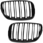 Dvigubos grotelės BMW X5 E53 LCI (04-06), juodos blizgios - Image 4
