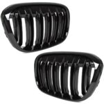 Dvigubos Performance priekinio bamperio grotelės BMW F48 (15-19) - Image 11