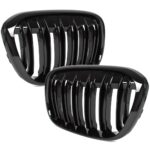 Dvigubos Performance priekinio bamperio grotelės BMW F48 (15-19)